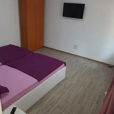 Casa Iulia Guest house *